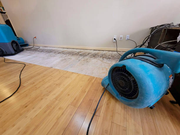 Professional Sewage Cleanup technician working in Monsey, NY